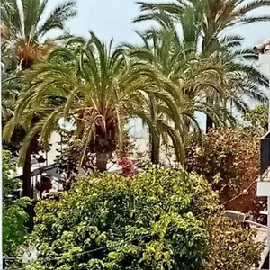  Appartement Old Town